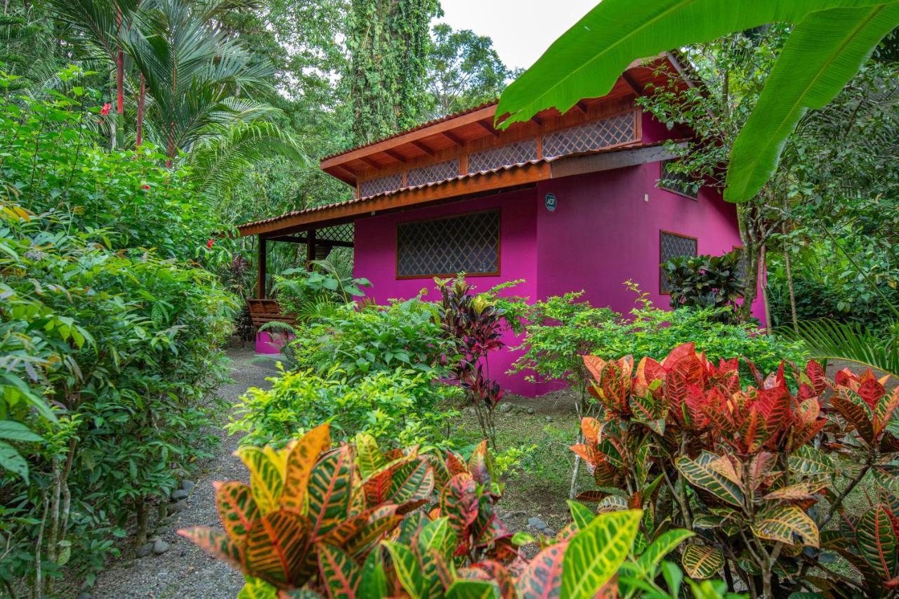 Colores del Caribe Puerto Viejo de Talamanca Exterior foto